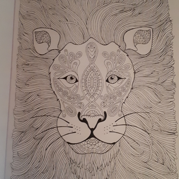 NEW, Majeatic Animal Colouring Book - Picture 5 of 7